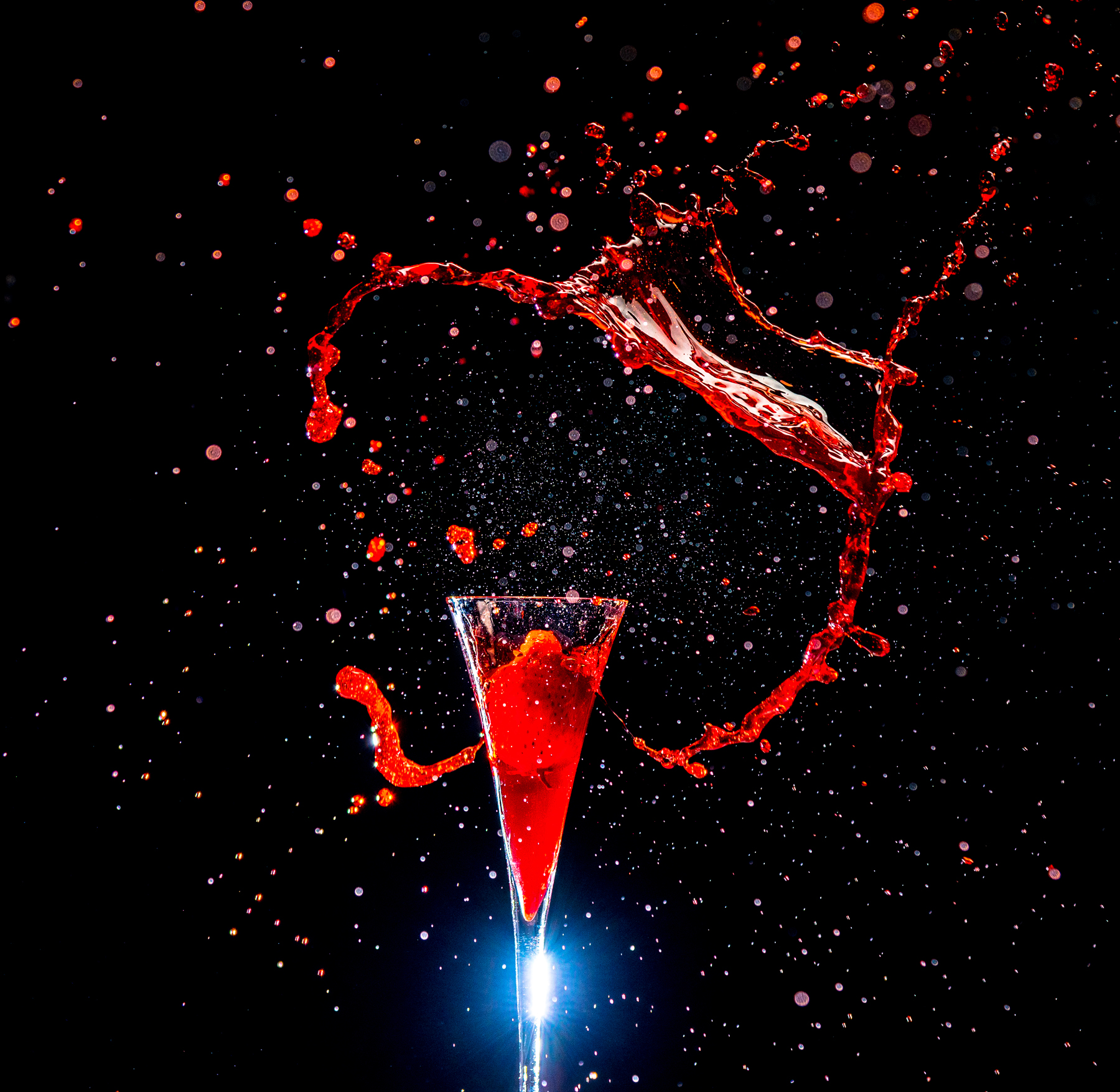 The Art of High Speed Flash Photography